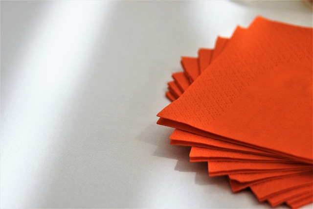 How to Start a Paper Napkin Making Business in India 2023?