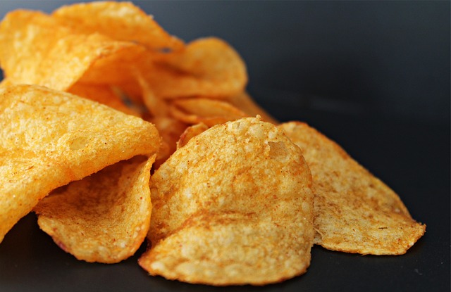 Potato Chips Making Business